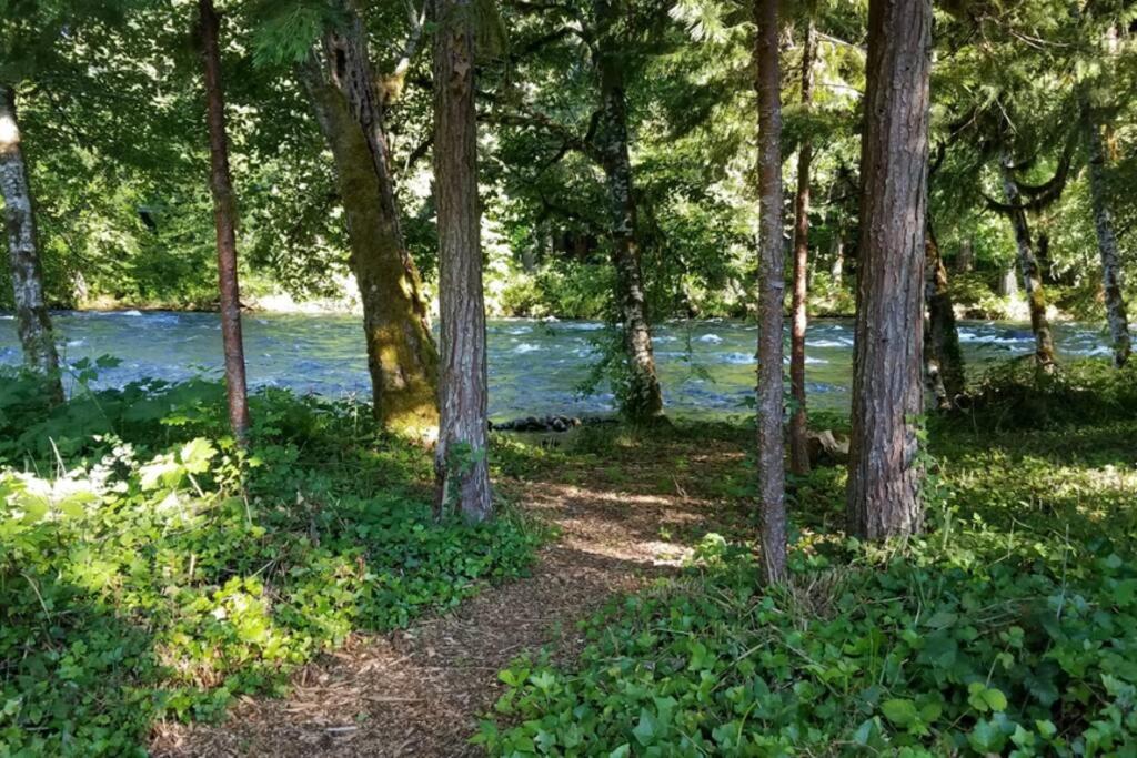 On The River Wooded Bliss Cabin Near Loloma McKenzie Bridge 外观 照片