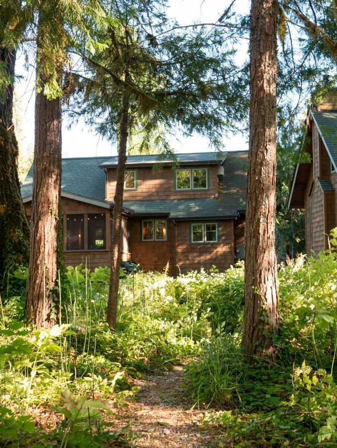 On The River Wooded Bliss Cabin Near Loloma McKenzie Bridge 外观 照片